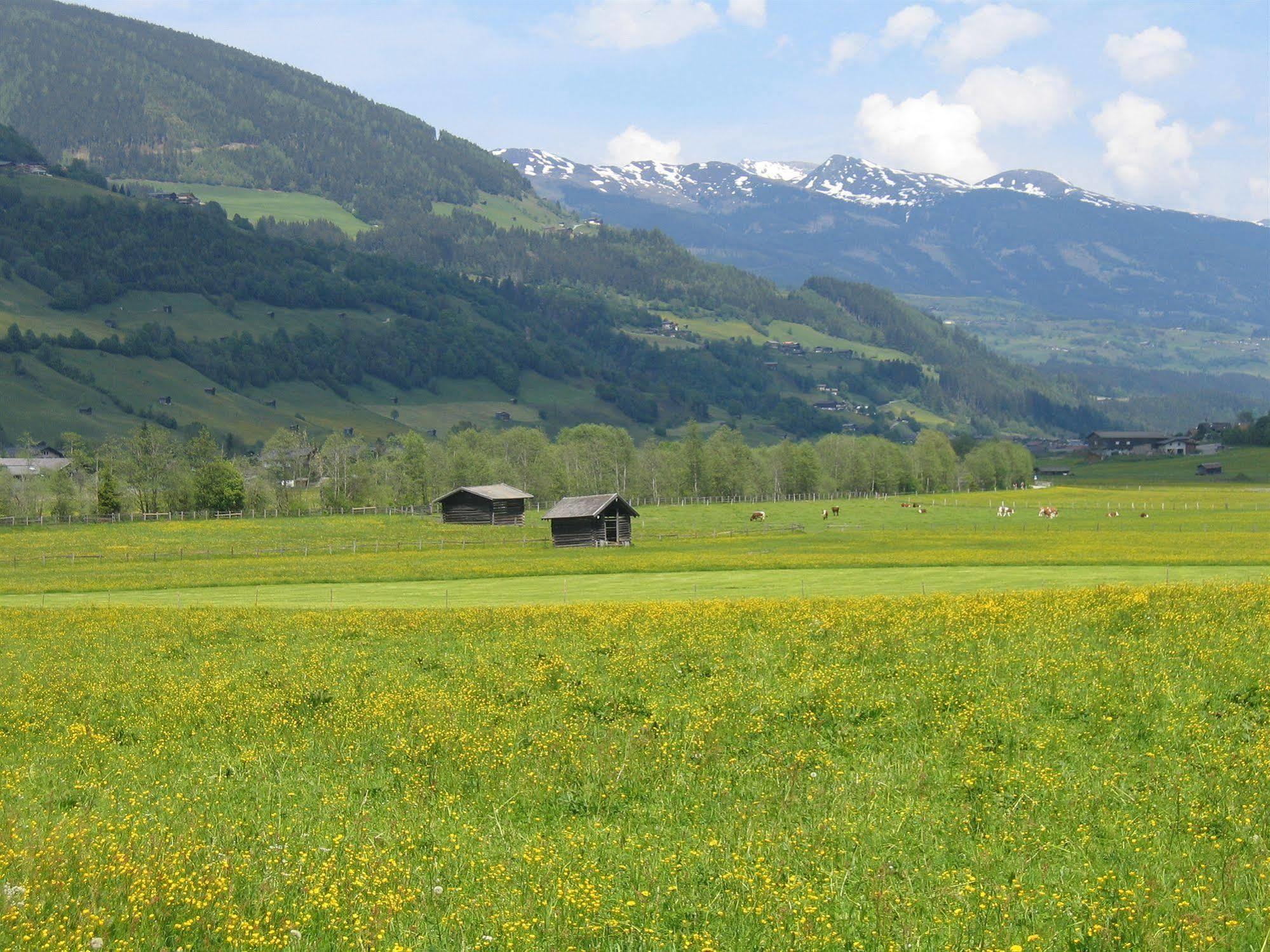 Pension Kristall Bramberg am Wildkogel Bagian luar foto
