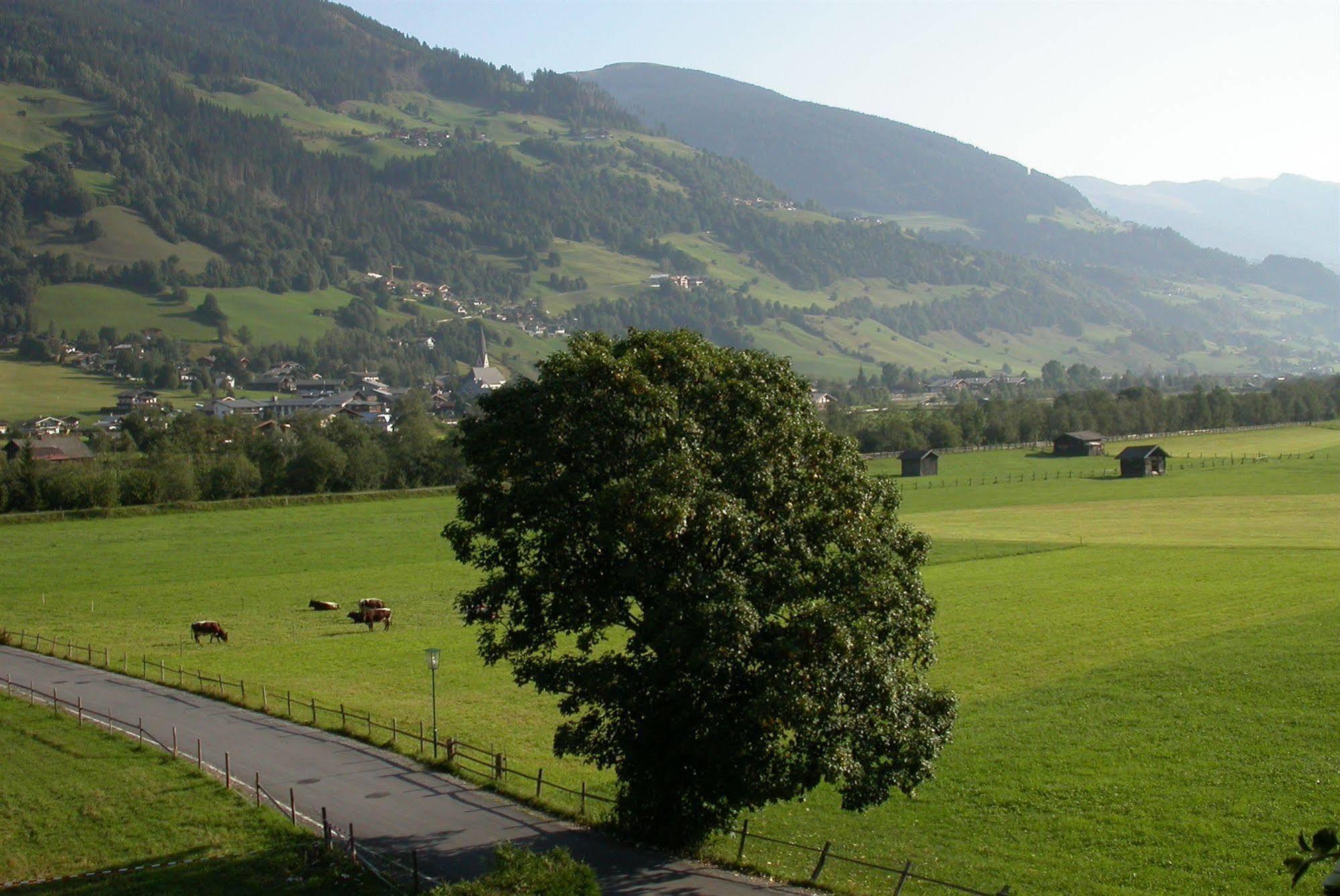 Pension Kristall Bramberg am Wildkogel Bagian luar foto
